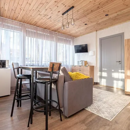 Apartment Dacha Mini