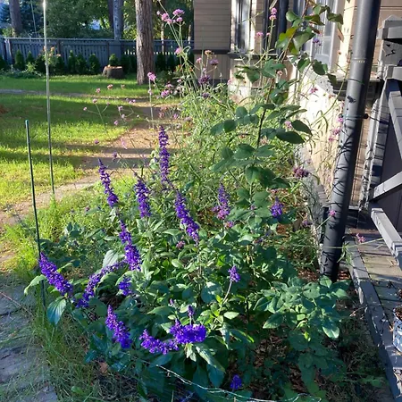 Dacha Mini * Jurmala